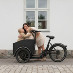 Elektryczny rower miejski Chanty Cargo