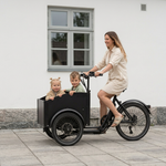 Elektryczny rower miejski Chanty Cargo